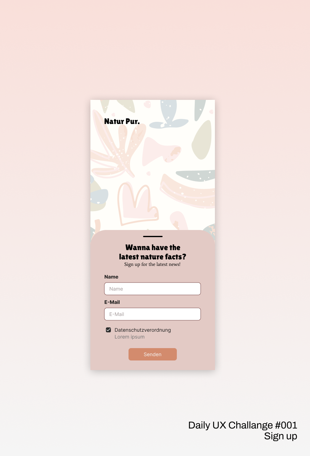 Daily UX Challange #001 - Sign up Window