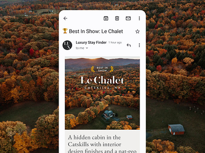 Luxury Stay Finder Newsletter