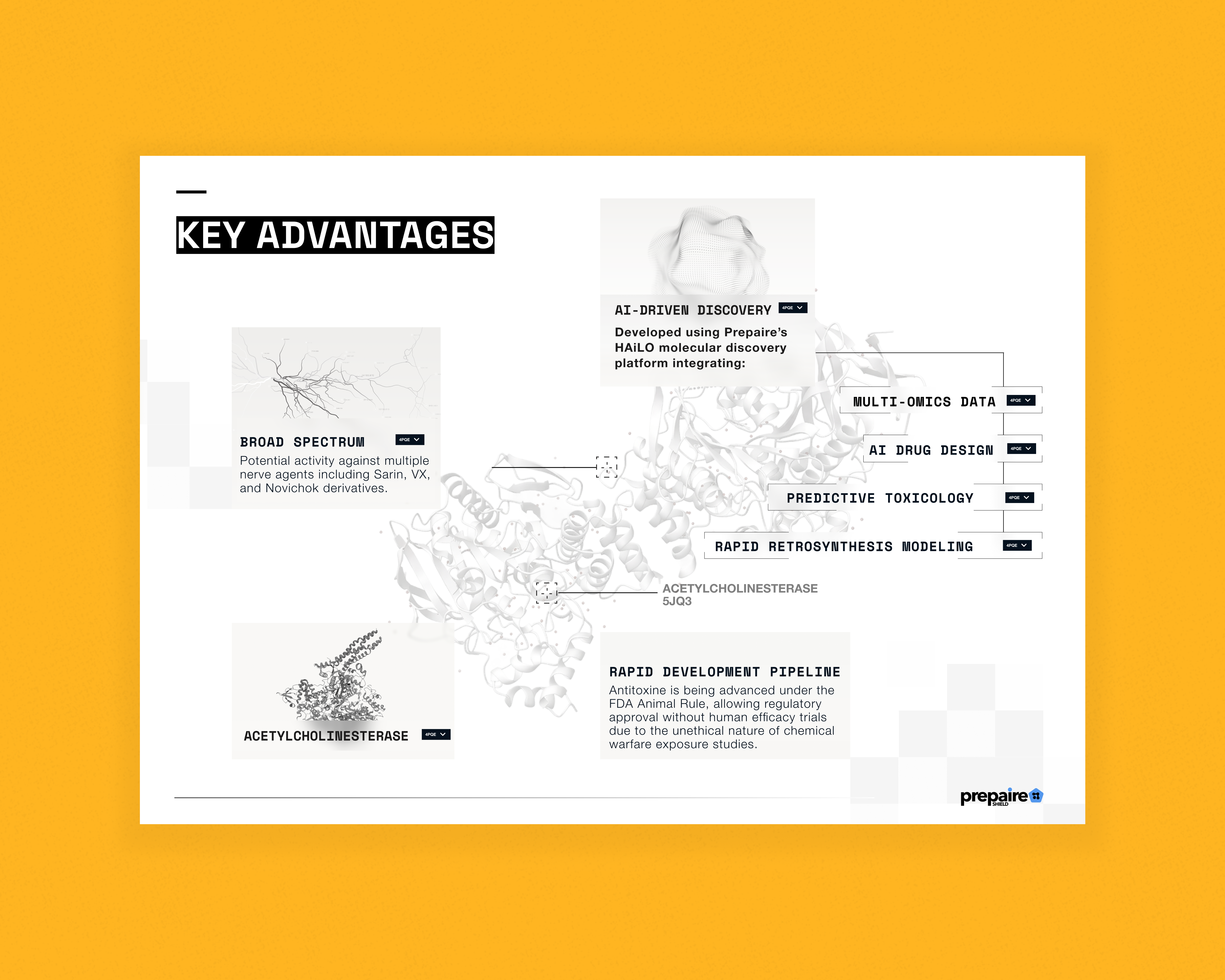 Example of Data Visualization Deck