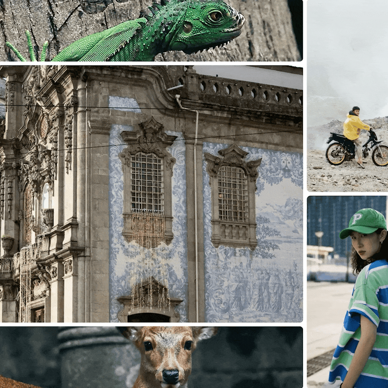Moving grids adobe after effects animatedgif animation behind the scenes bts gif grid grid systems making of motion motion design motion graphics renatorena