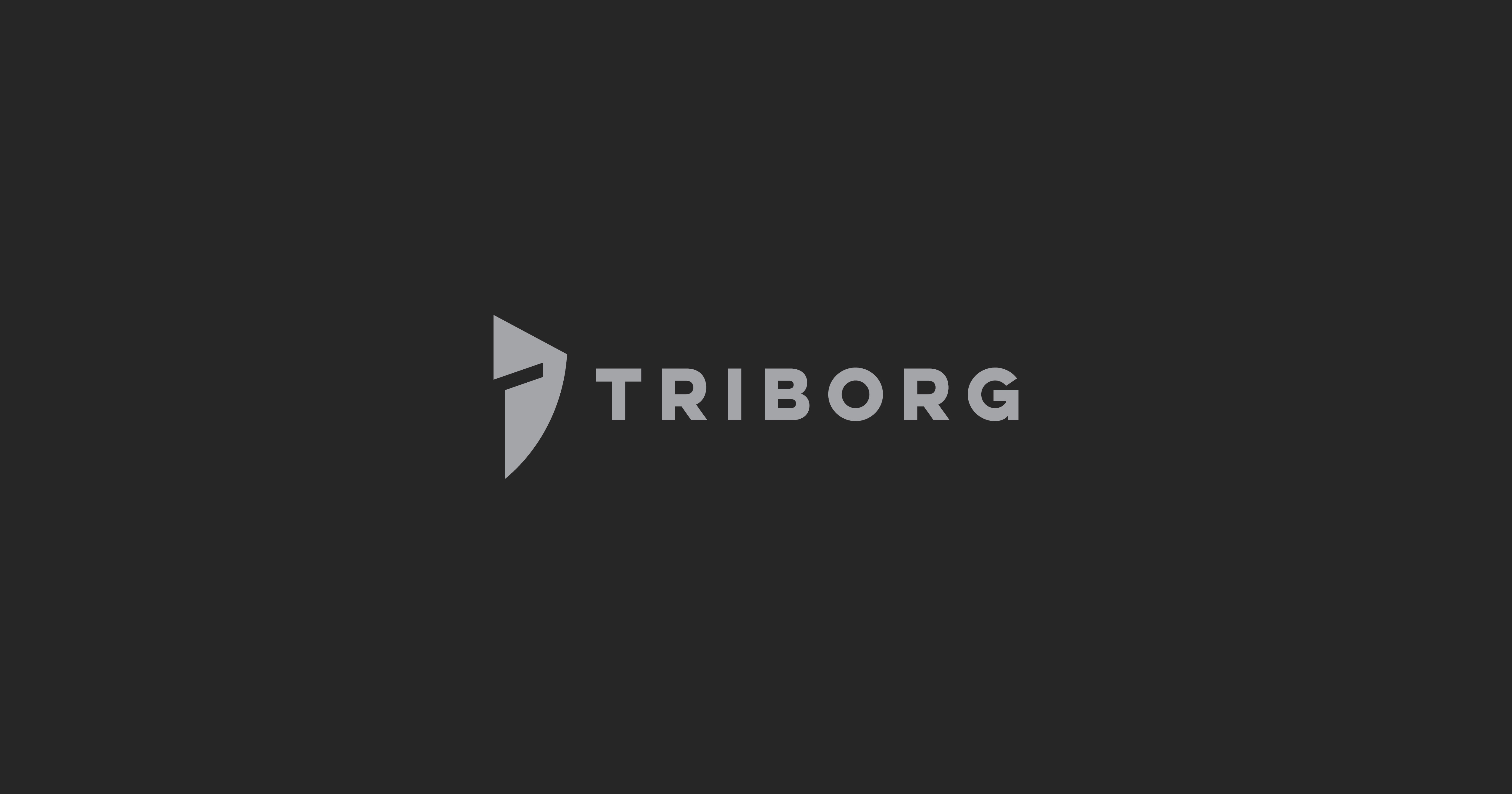 Logo for Triborg — cyber security