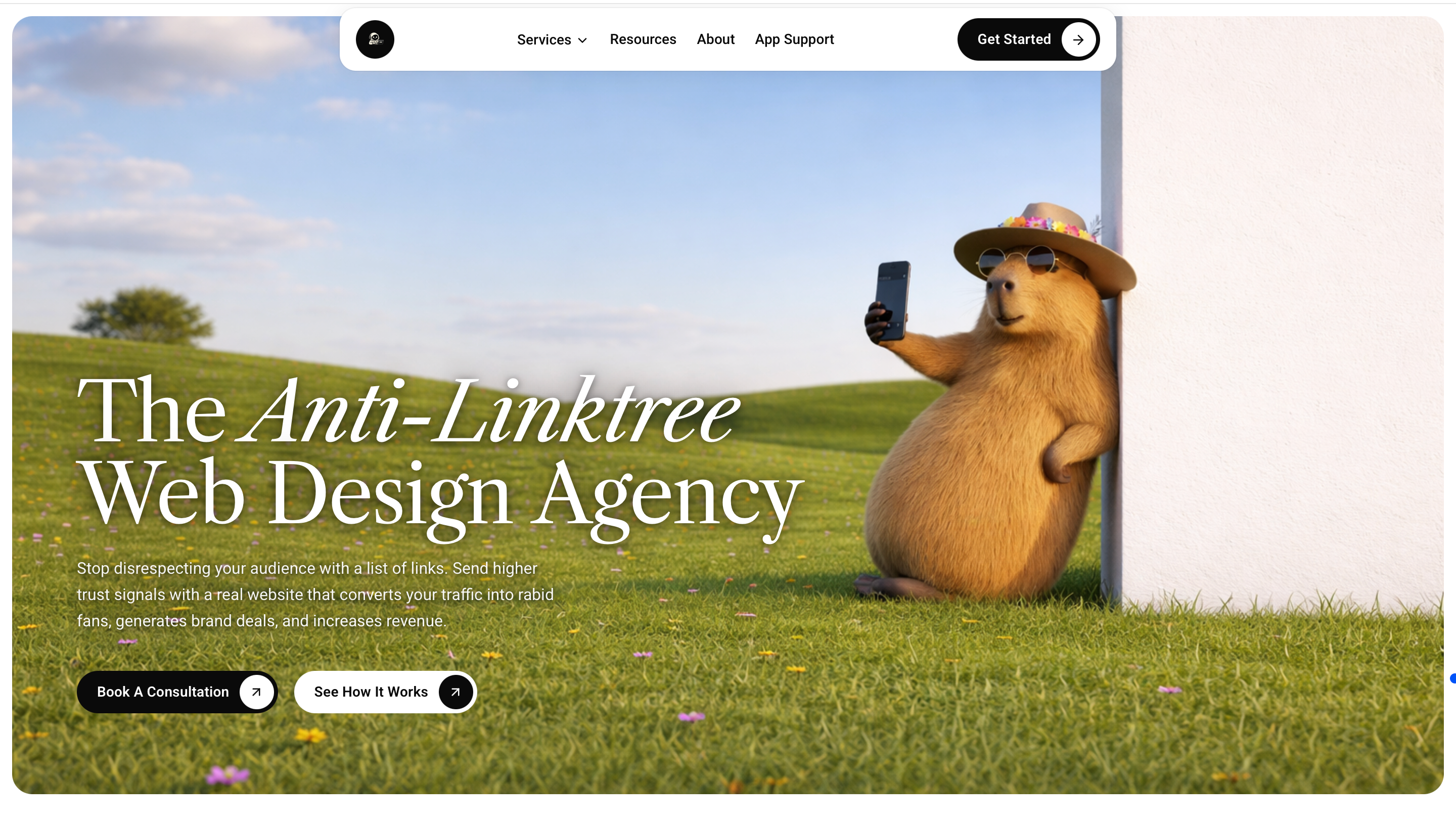 Web Agency Service Page capybara design development landing page linktree service page ui uiux web agency web design web design agency web development website website design
