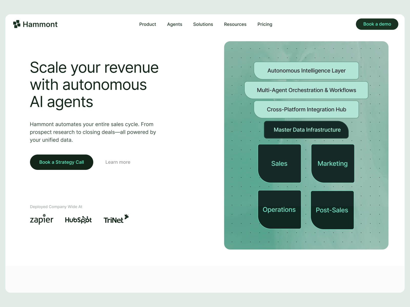 Hammont | webdesign