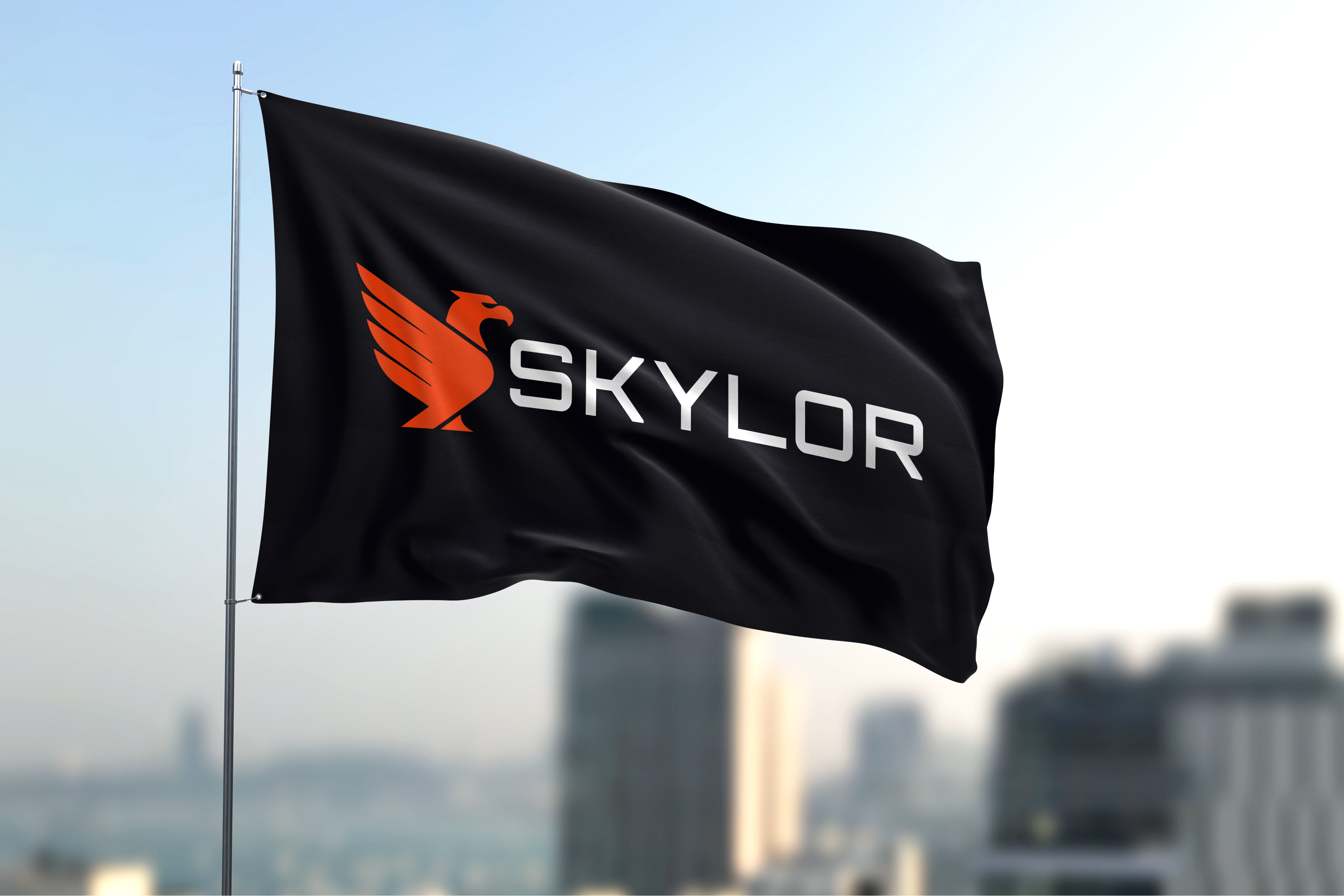 Example of Skylor Minimalist Brand Identity Design
