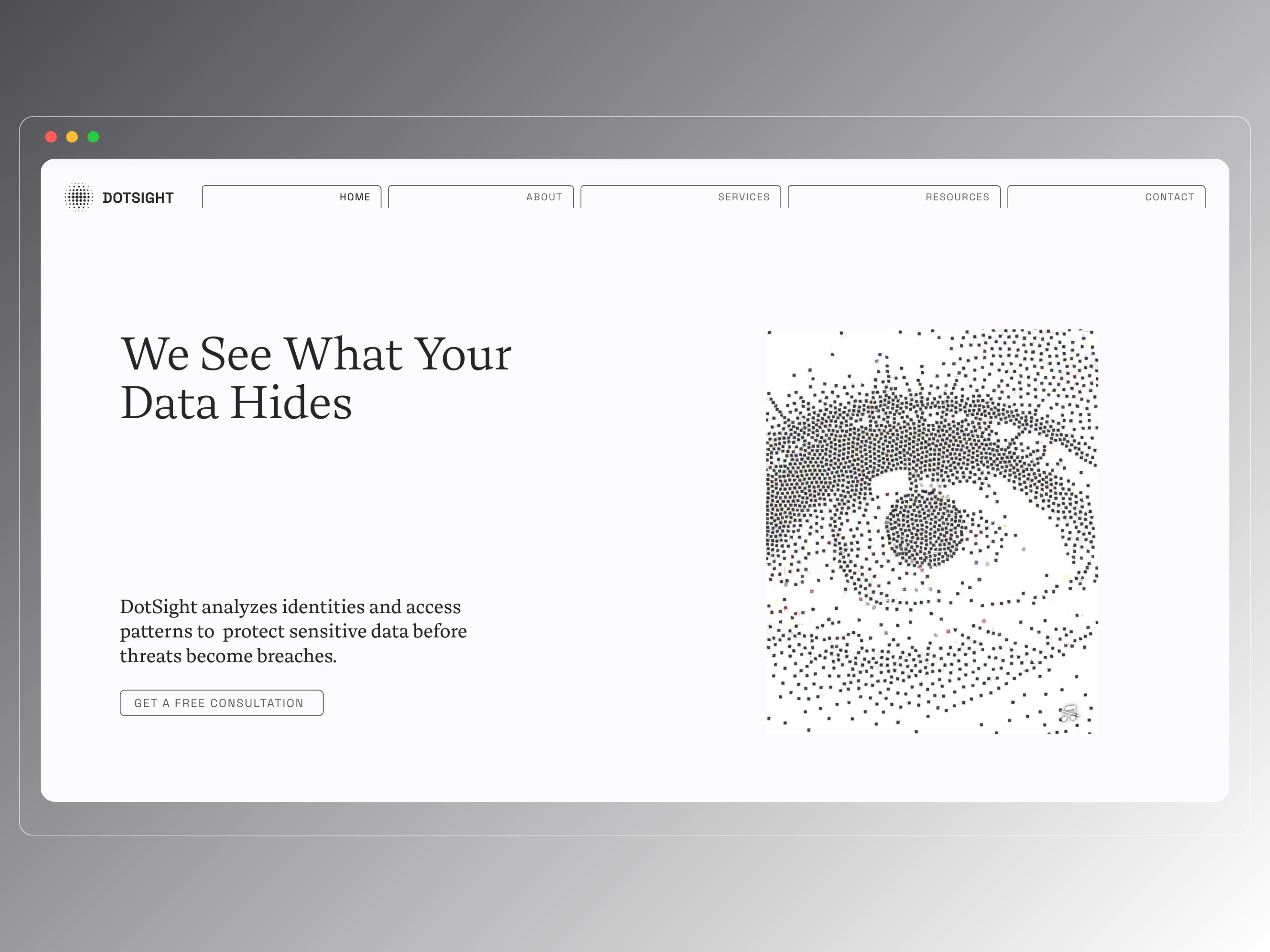 DotSight: Data Security & Identity Protection Website b2b website branding hero section motion graphics professional website service page ui ux web design