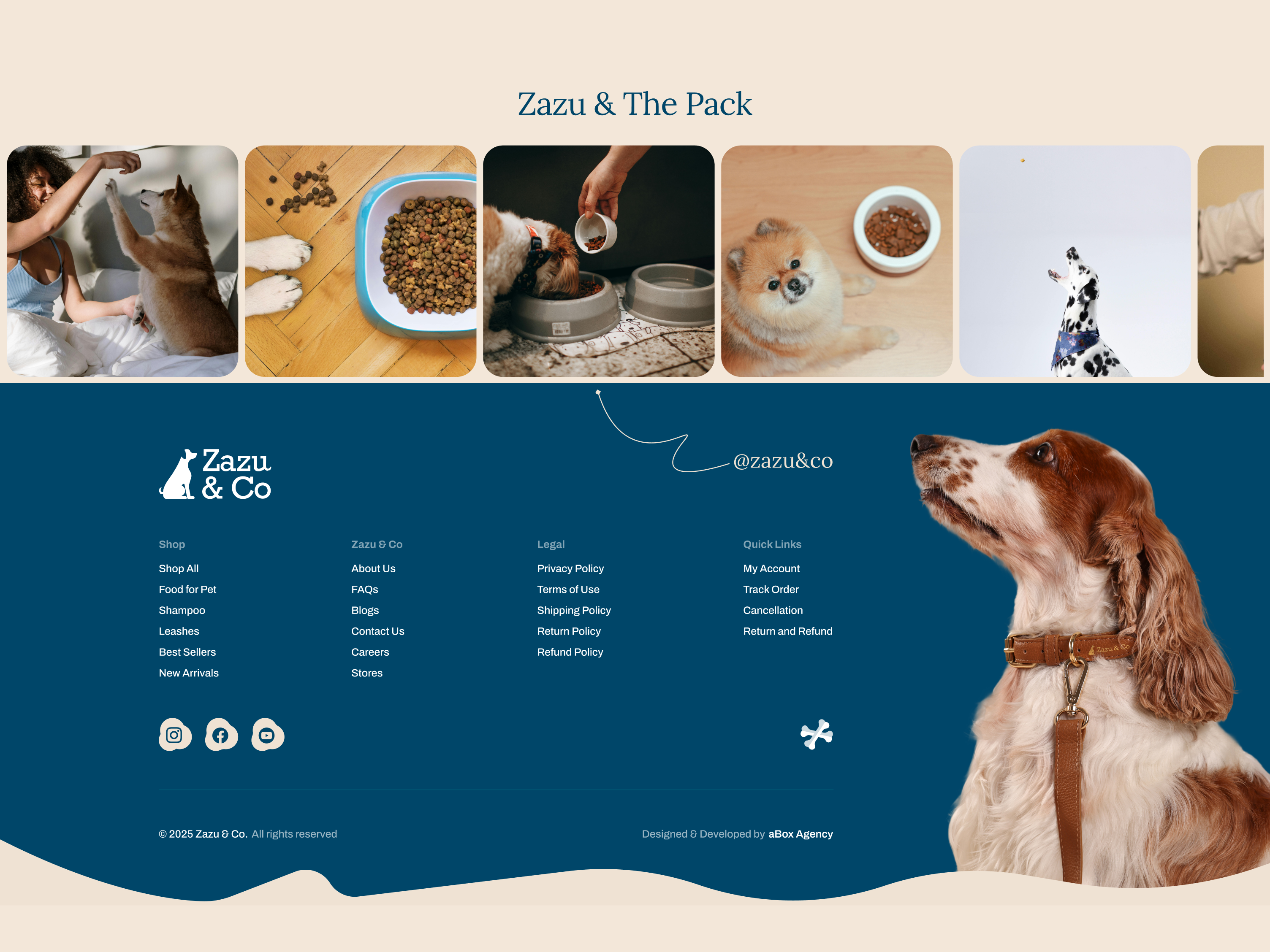 Zazu & Co || Footer Design about us brand identity brand storuy brand story telling dogs ecommerce footer footer design minimal design mobilenavigation mobileux pet care product page ui uiux ux visual deisgn web design web ui