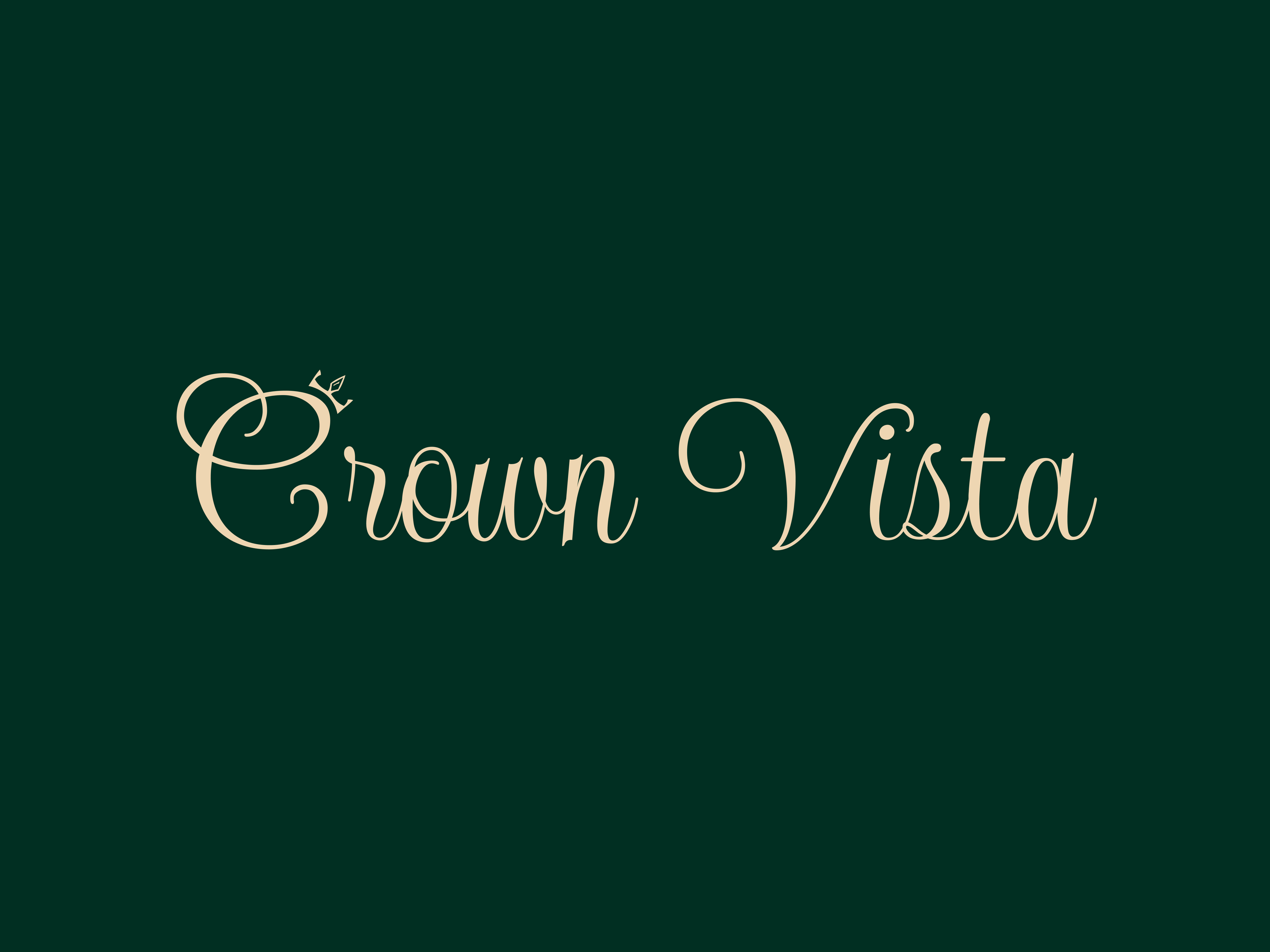Elegant Crown Vista Logo Design | Luxury Brand Identity