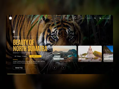 Travel & Tourism dark theme graphic design tourism travel ui ux website design