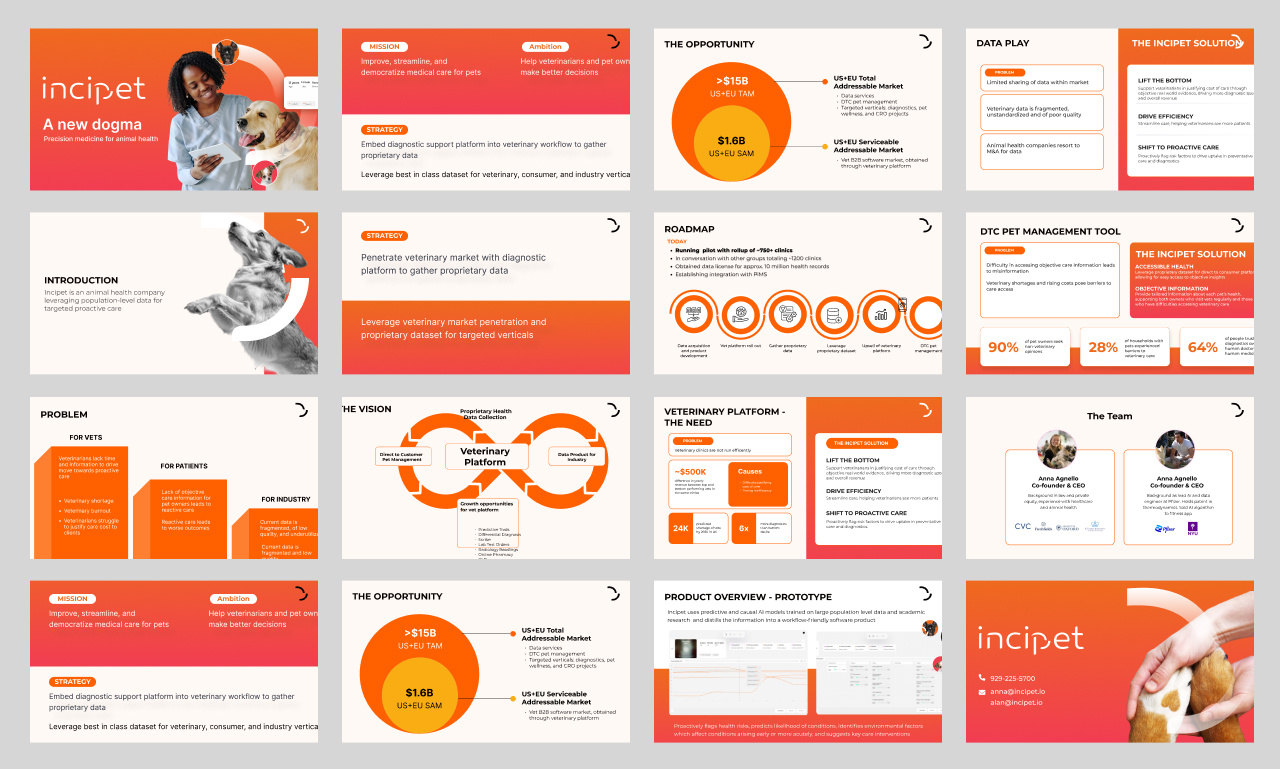 Example of Custom Presentations & Pitck Decks