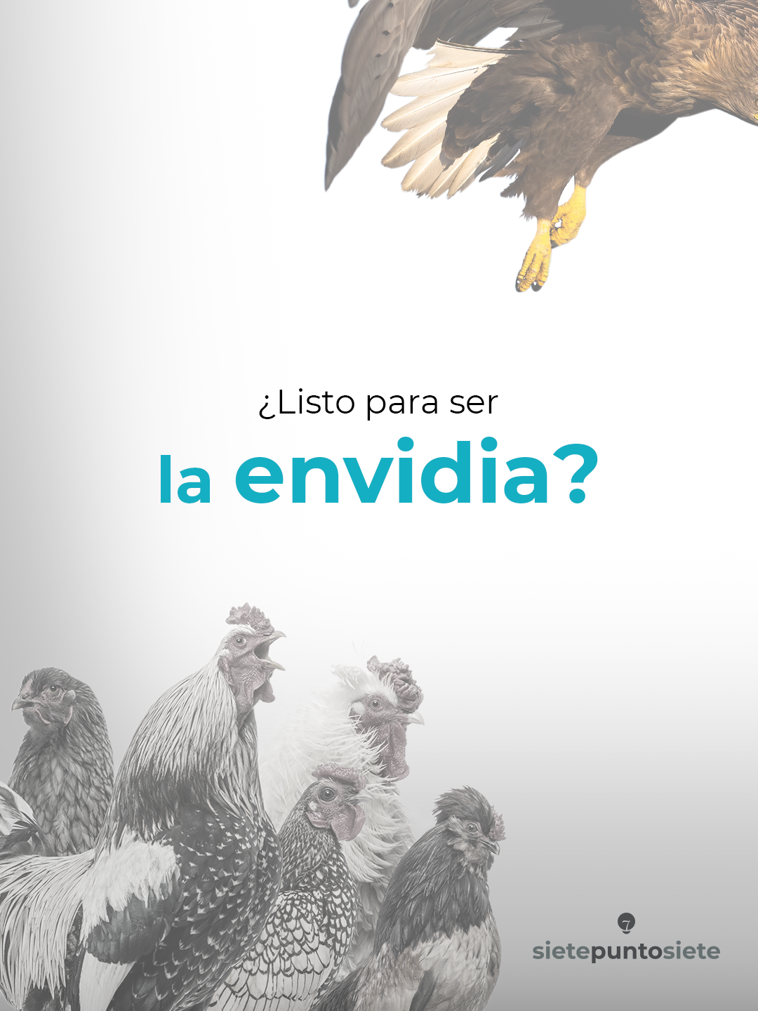 Social media content Marketing Agency