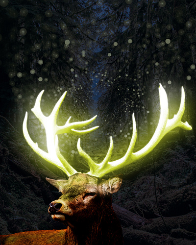 magic horns adobe photoshop manipulated design manipulation