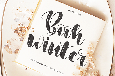 Book winter font animation branding font graphic design logo motion graphics