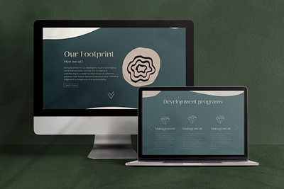 The Flow Partners Website branding design graphic design illustration logo ui webdesign