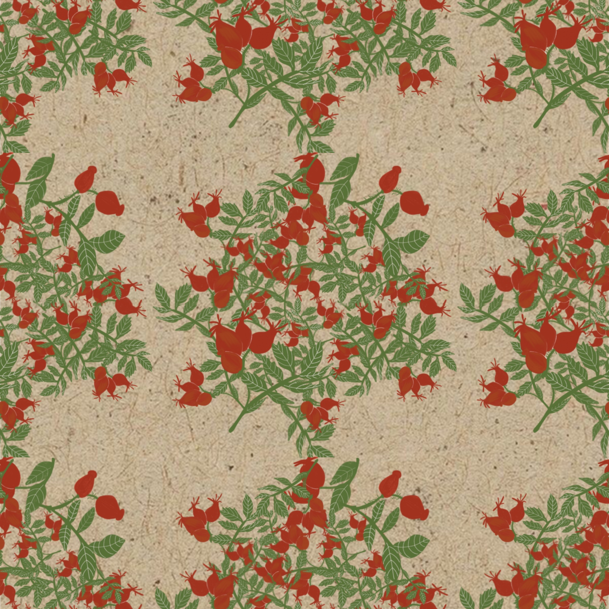 Rosehip Tea Packaging Design