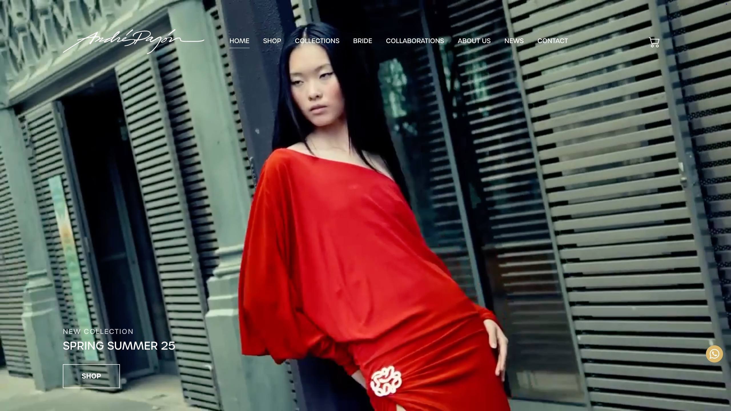 Andrés Pajón - Wordpress and WooCommerce Theme web design wordpress