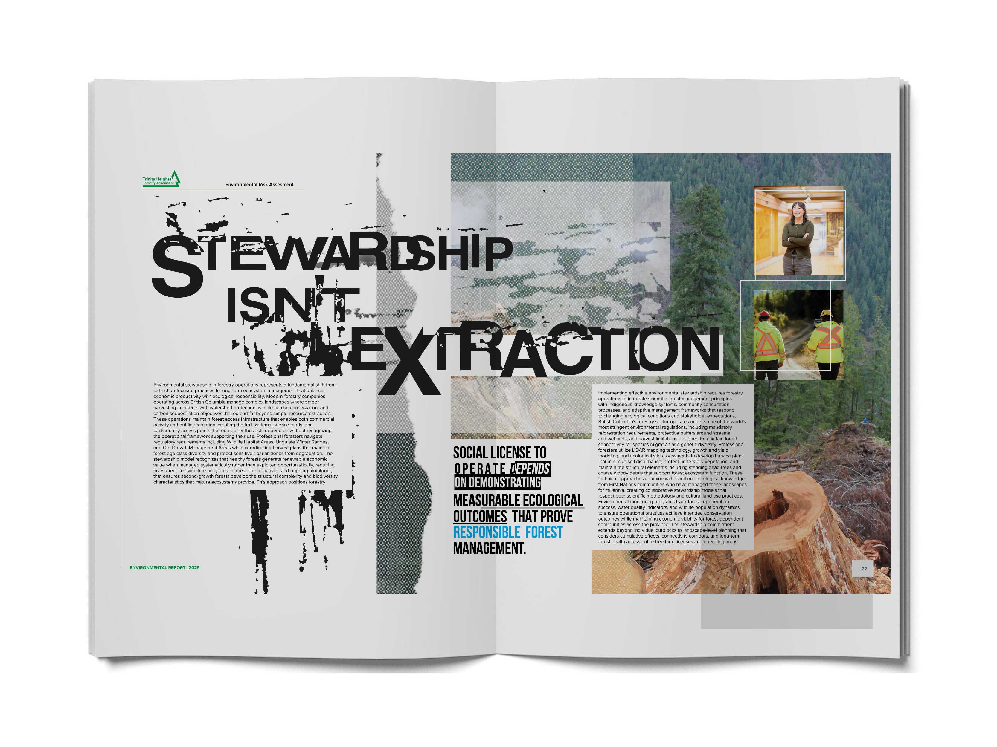 Environmental Magazine Editorial - Forestry Sector Report Design