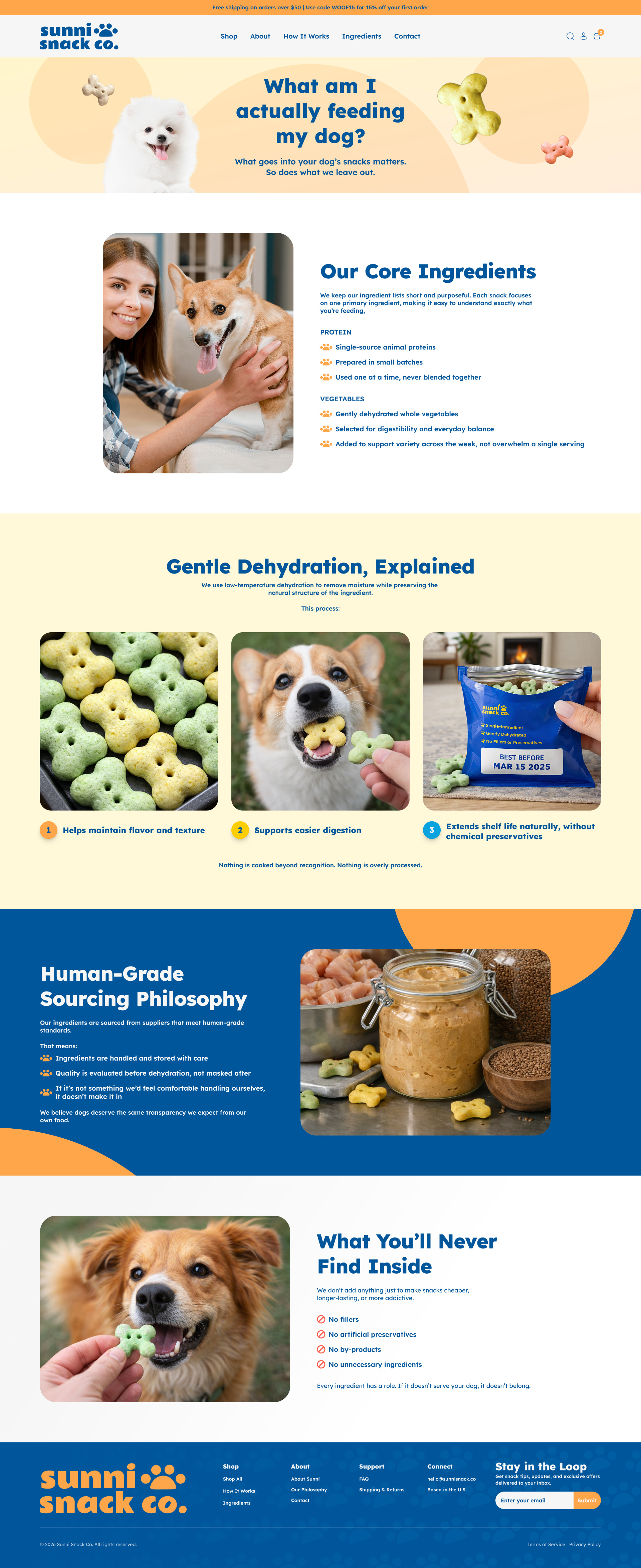 Example of 1 Landing Page Design