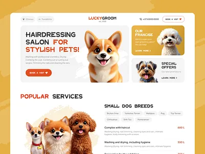 LuckyGroom | Pet Grooming salon design concept ai ai generated bento bento design bento ui bright design cat design dog figma groom grooming pet pets ui ui design uxui uxui design web design yellow design