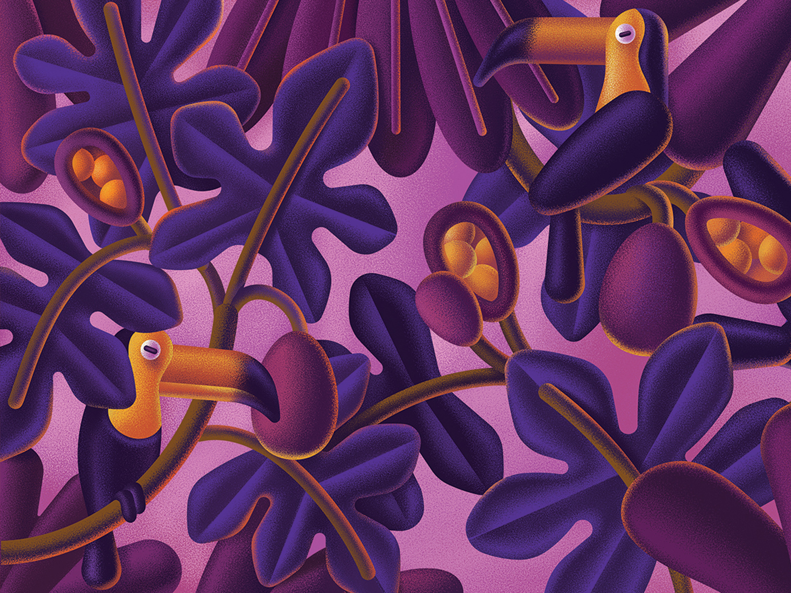 Toucan for board game