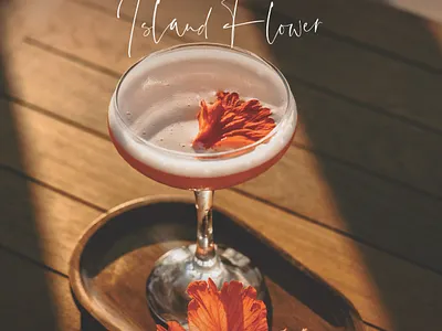 Elevated Sips — Beverage Poster Design advertising branding graphic design poster design print
