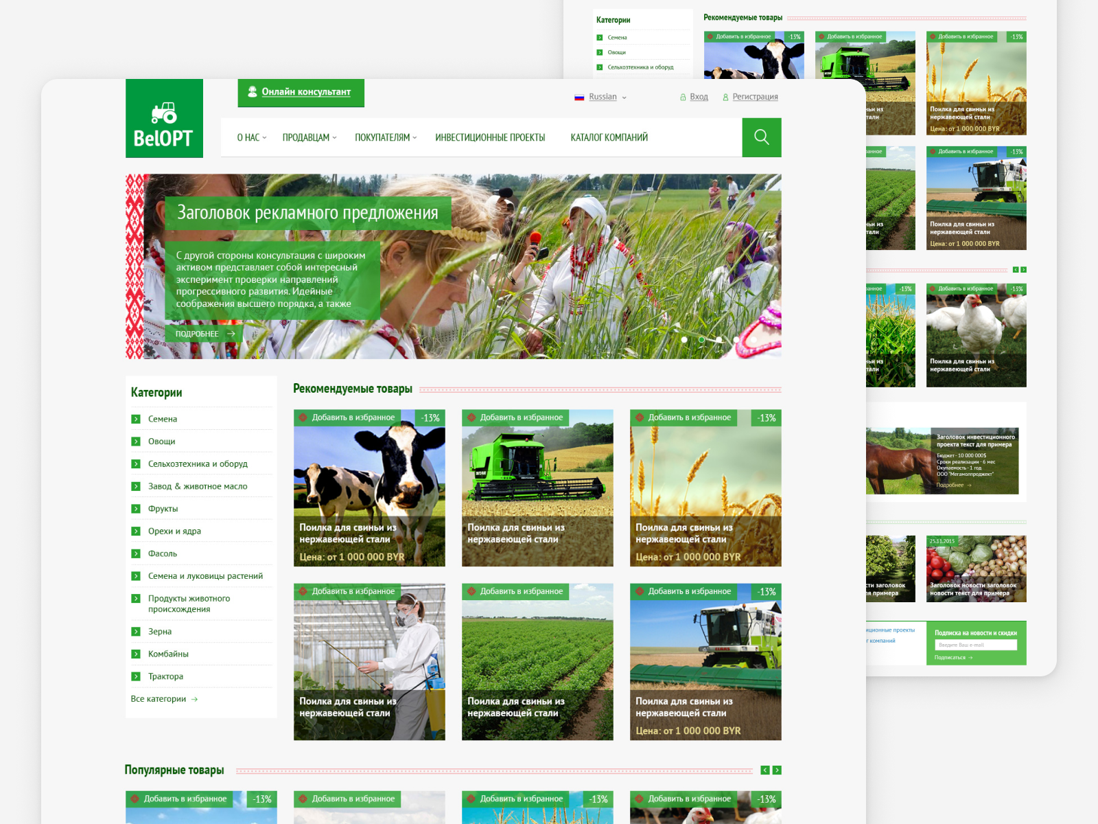 BelOPT web design web design webdesign website website design