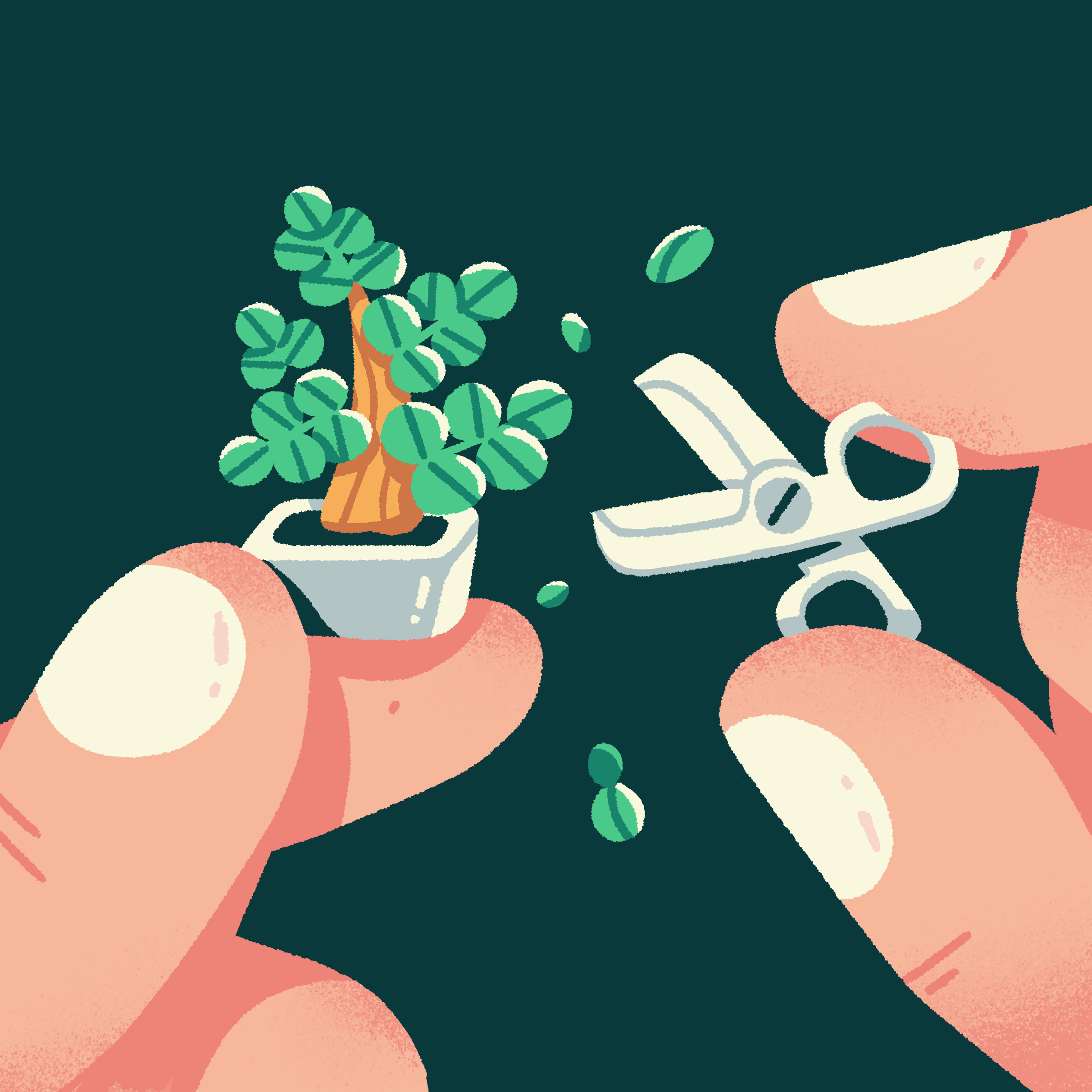 Bonsai 2d art bonsai illustration micro plant scissors tiny