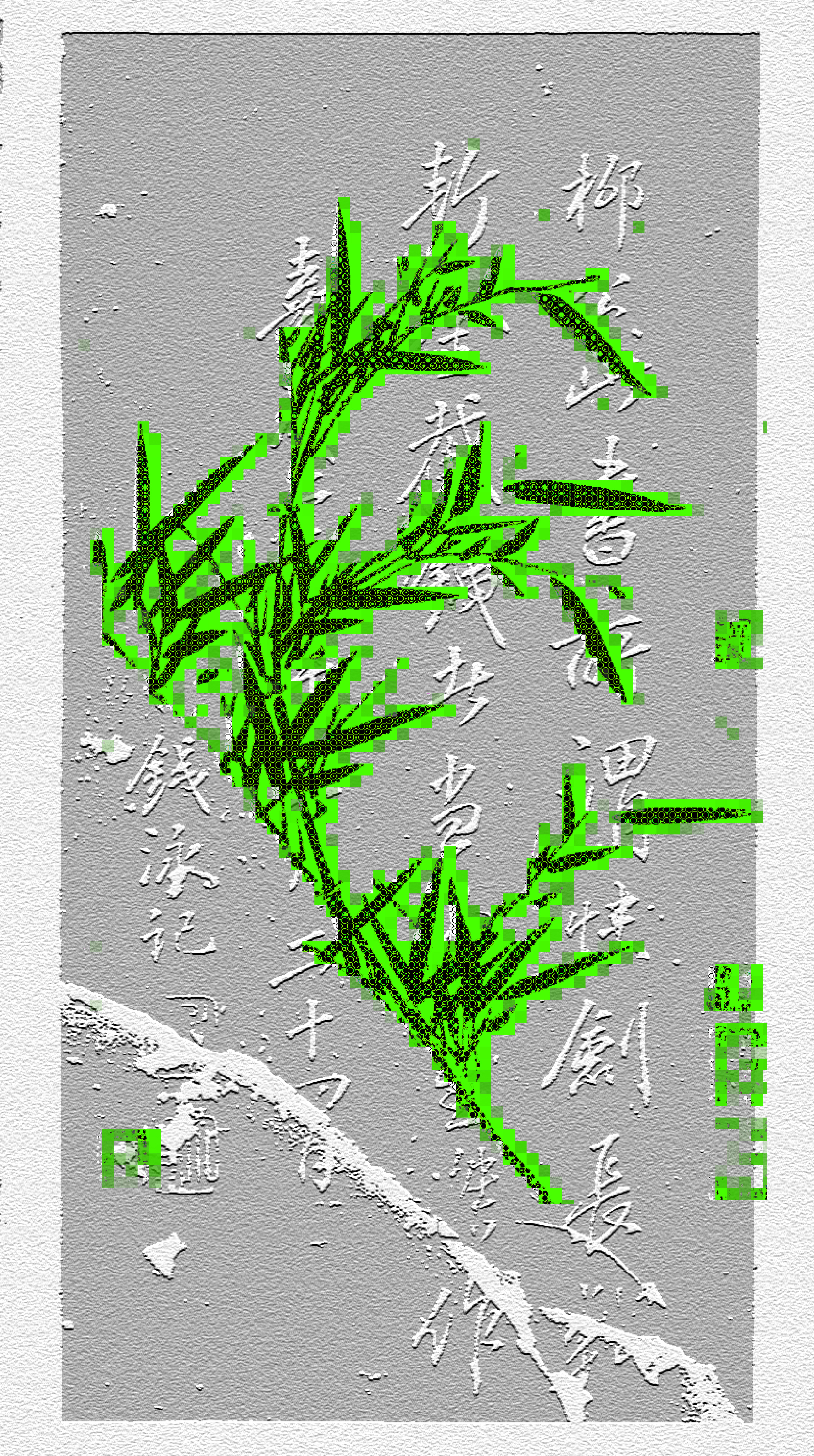 bamboo