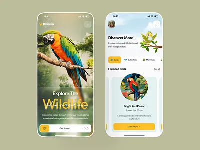 BirdWorld Mobile App app app design app ui bird app bird watching exploration app ios app mobile mobile app mobile app design mobile ui modern app nature app ui ui design ui ux wildlife app