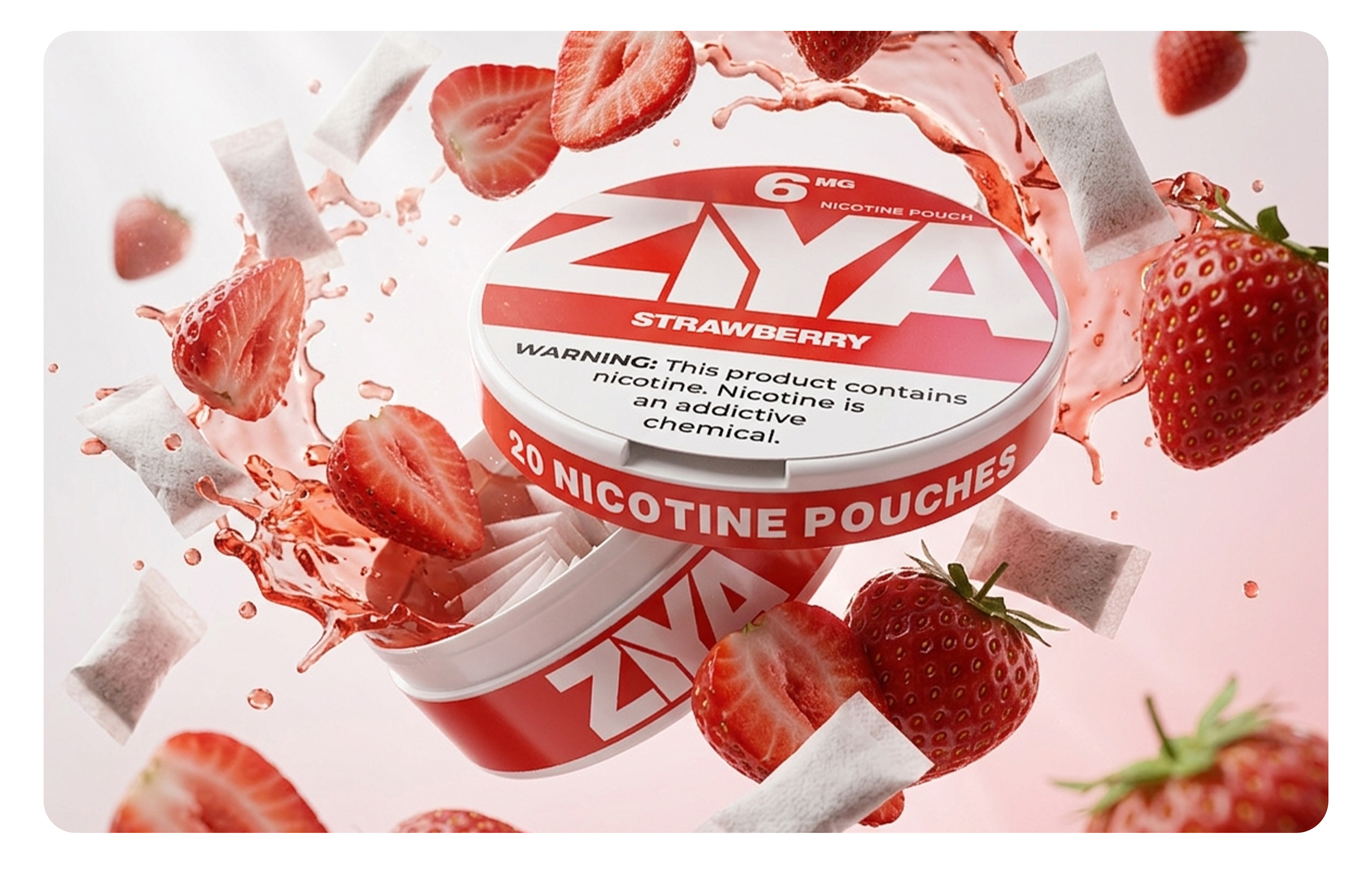 Example of Nicotine Pouches Packaging &Label Design
