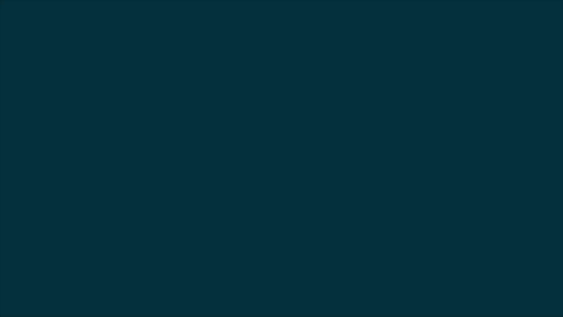 Example of Custom Logo Animation