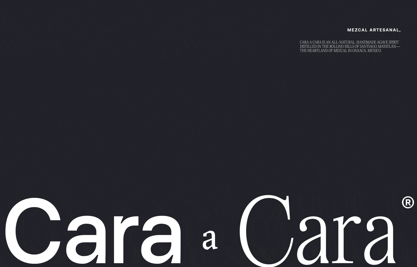 Example of Branding And Identity