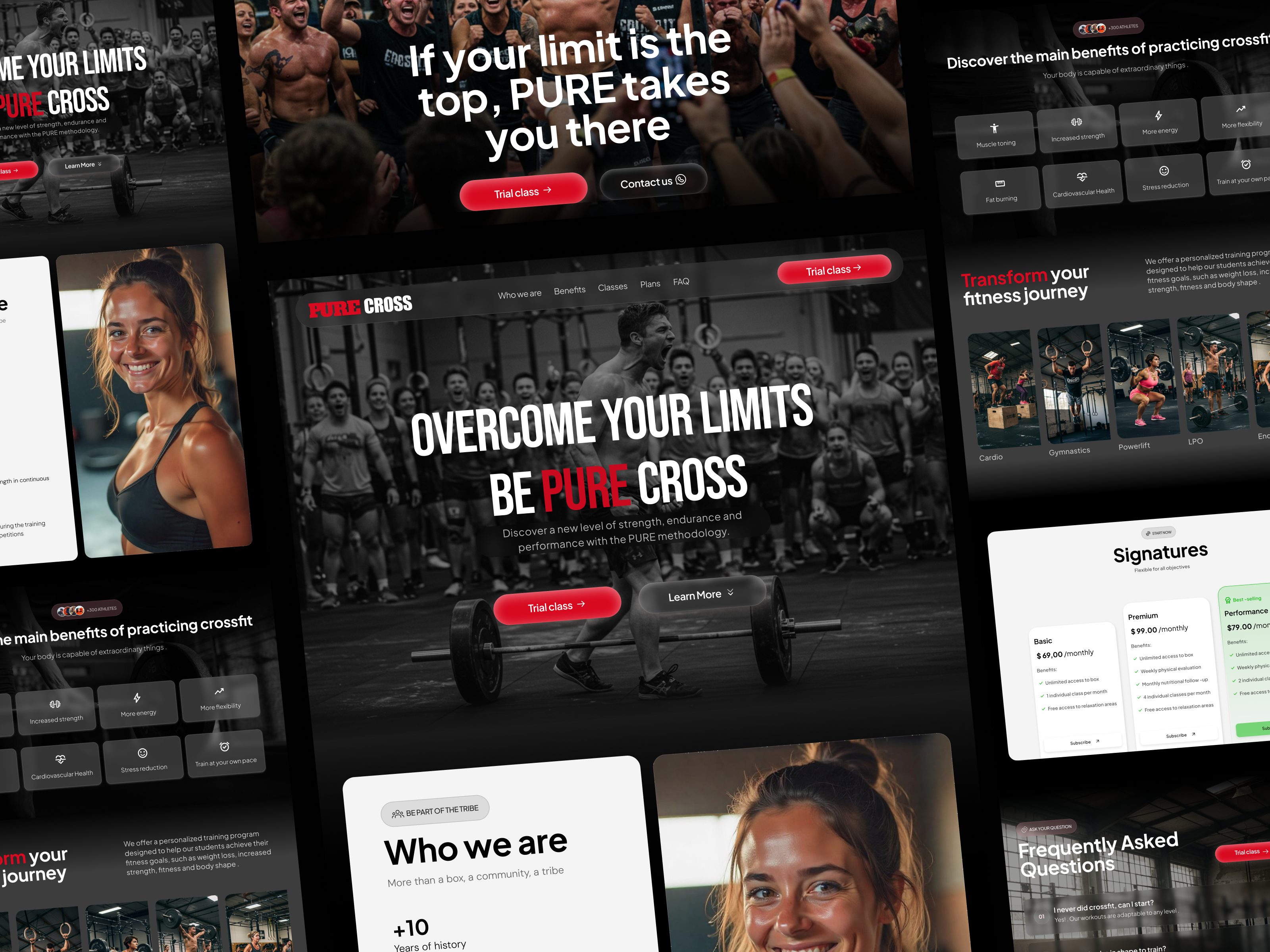 Example of UX/UI Design Premium   Landing Page
