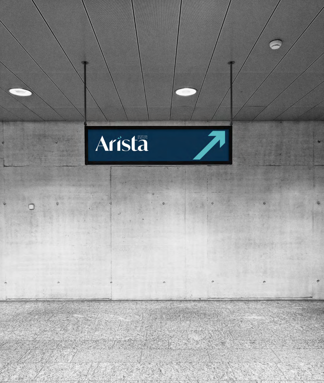 Arista - Branding