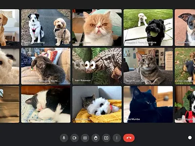 MOD Labs / Animal-ations 2d adobe after effects ai ai gen animals animation creative design dog funny illustration motion design motion graphics pets poop sasquatch silly ui video call