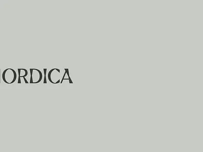 Nordica Studios Showreel animation art direction branding graphic design motion motion graphics