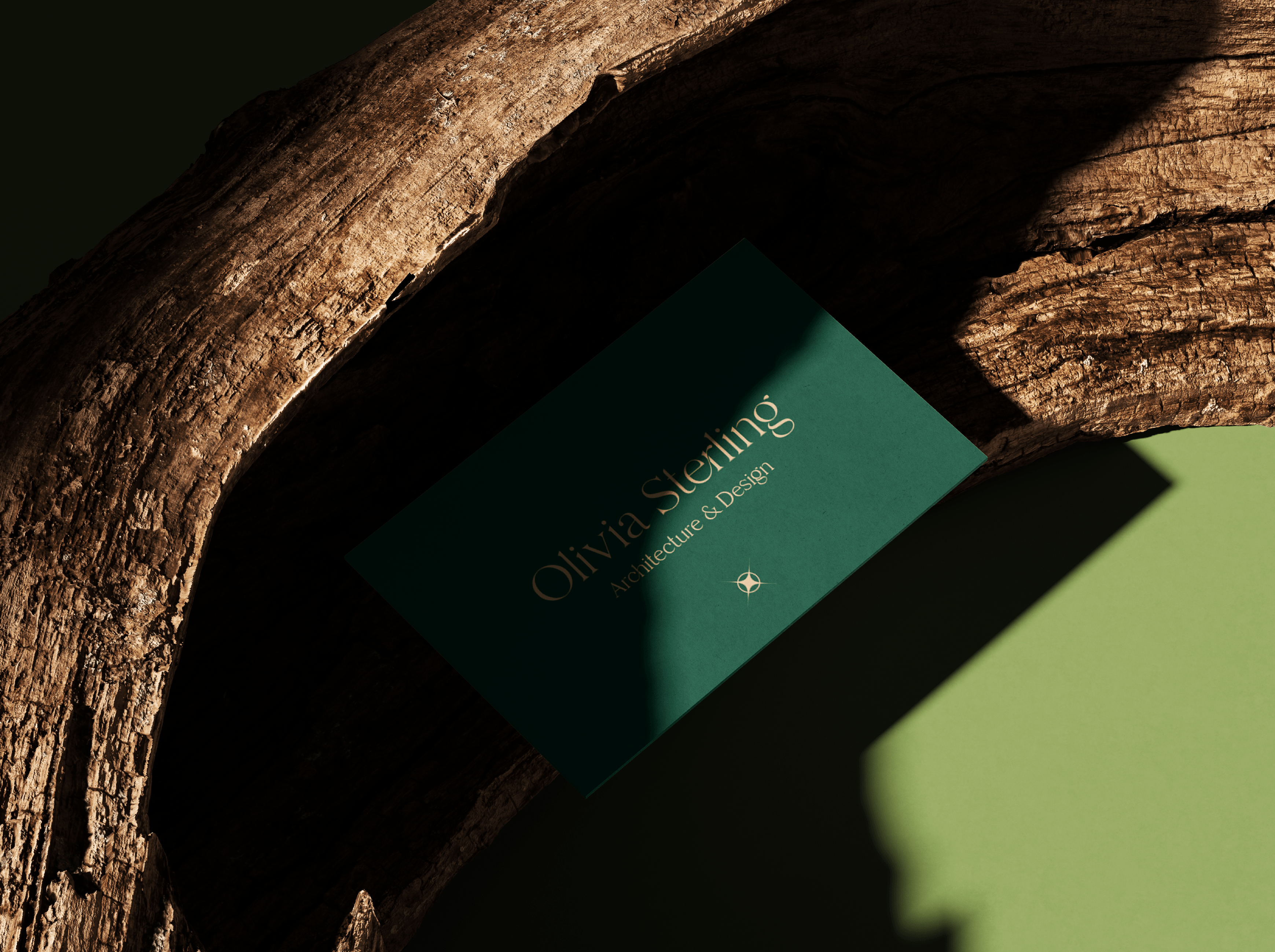 Example of Premium Visual Identity 