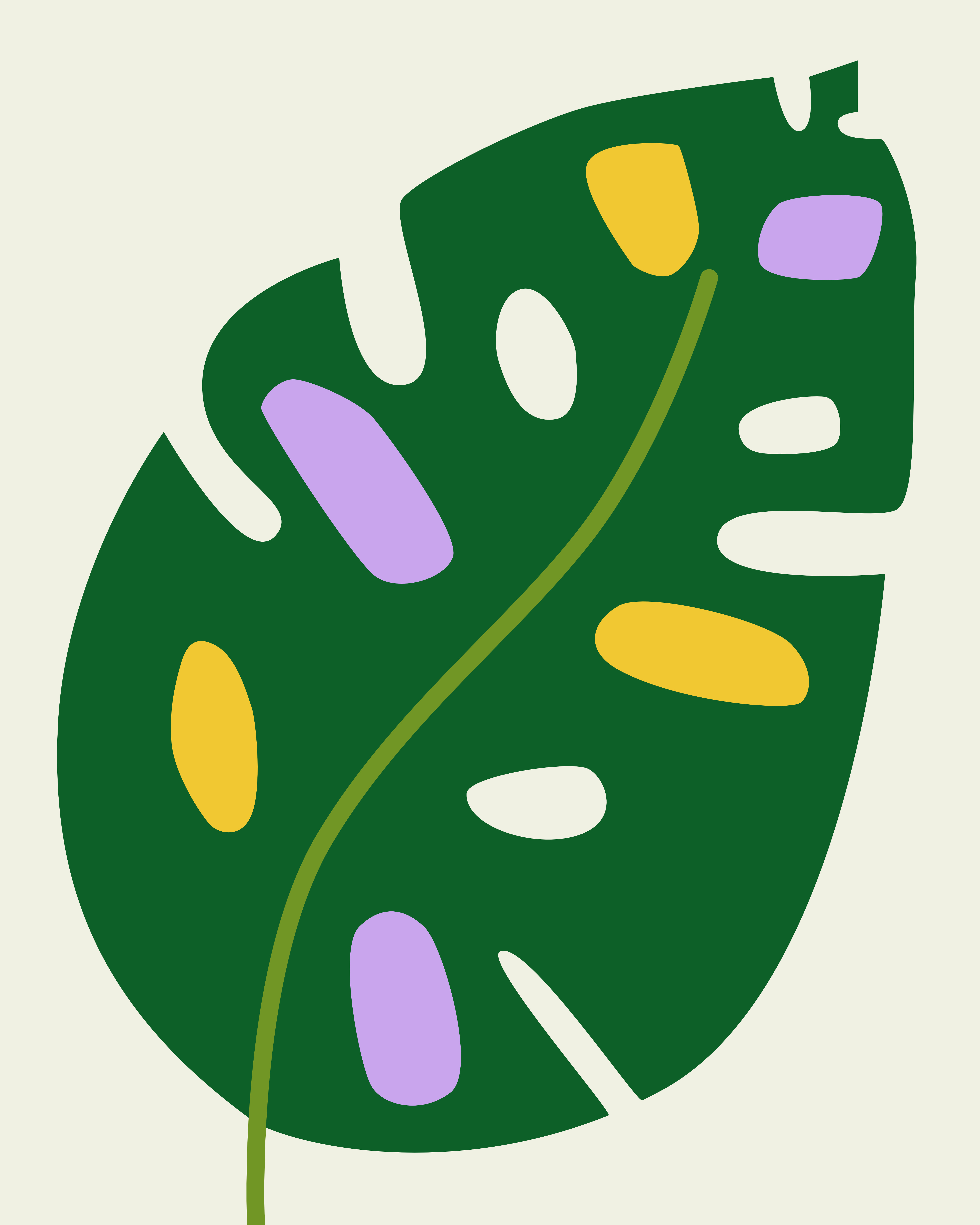 Colorful Leaf 1