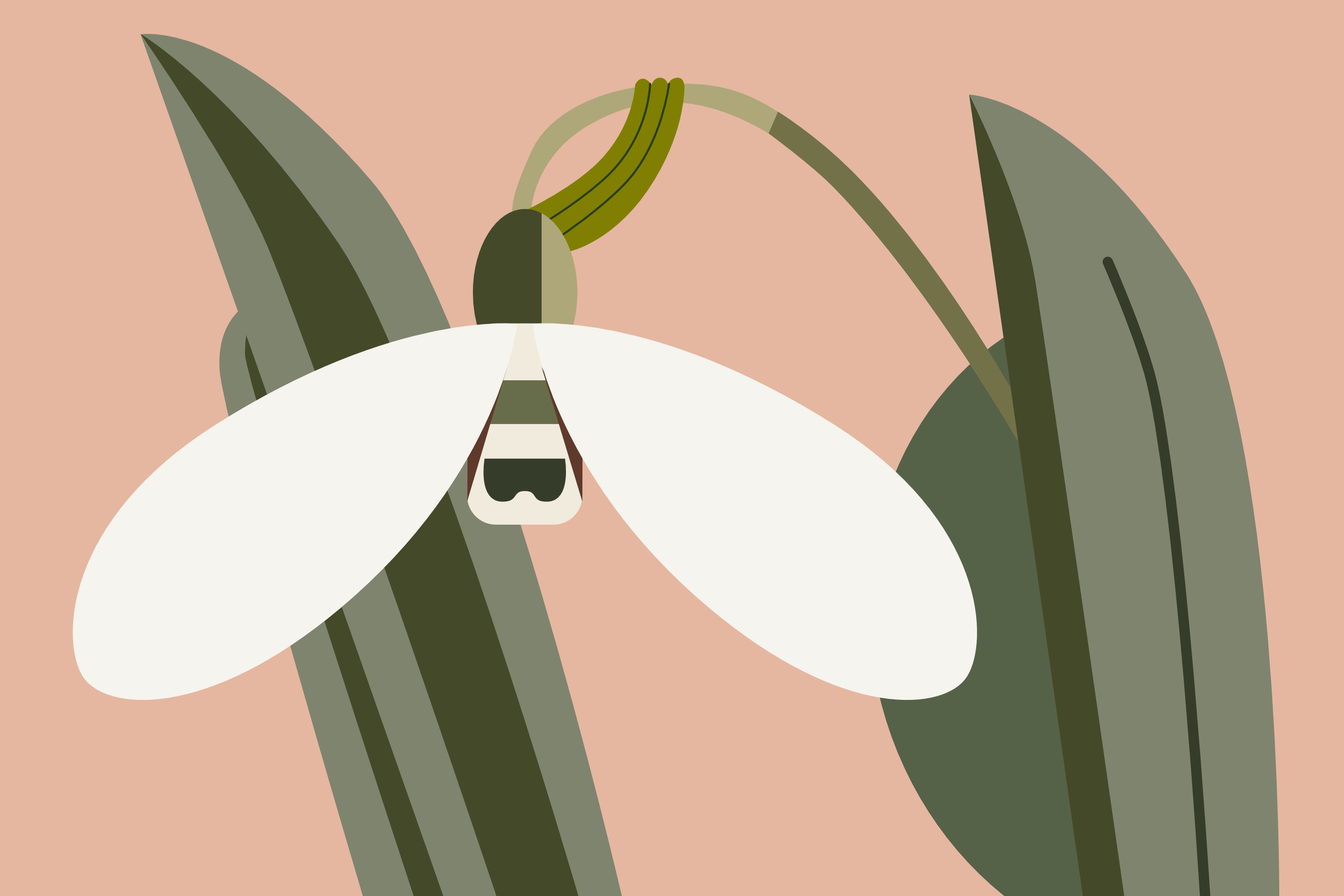 Snow Drop drawing flat flat color flower geometric illustration leaf minimalist nature snow drop vibrant