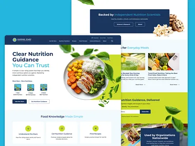 Guiding Stars Website Concept art creative design graphic design ui website