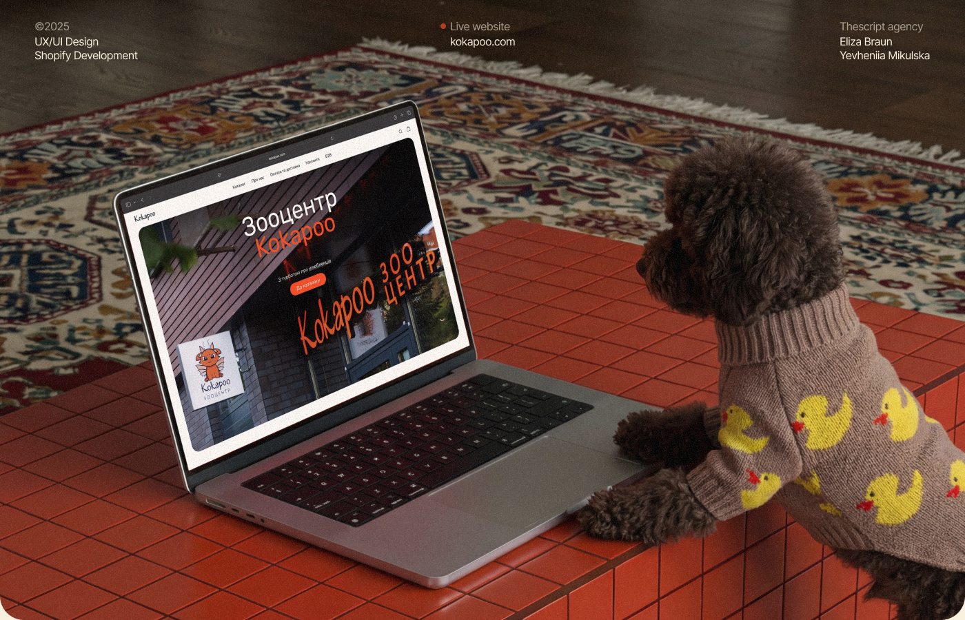 Kokapoo – zoo center branding graphic design shopify ui ux website zoo