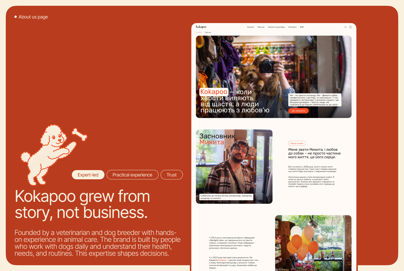 Example of E Commerce/Shopify