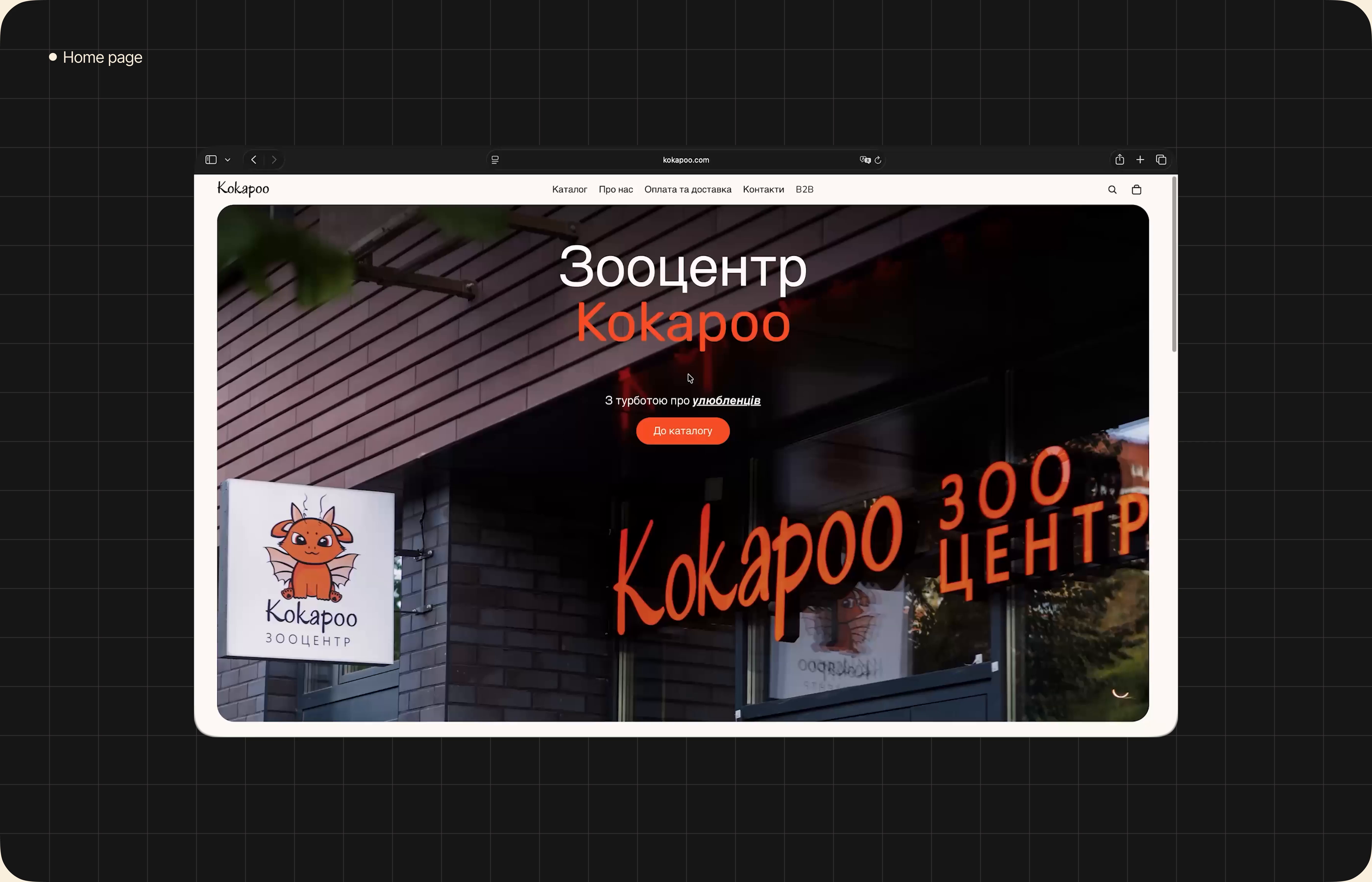 Example of E Commerce/Shopify