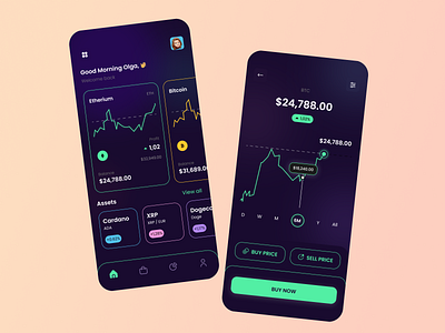 Finance App- Cryptocurrency Wallet app application bitcoin cryptocurrency cryptocurrency wallet app etherium finance graphic money nft trade ui wallet