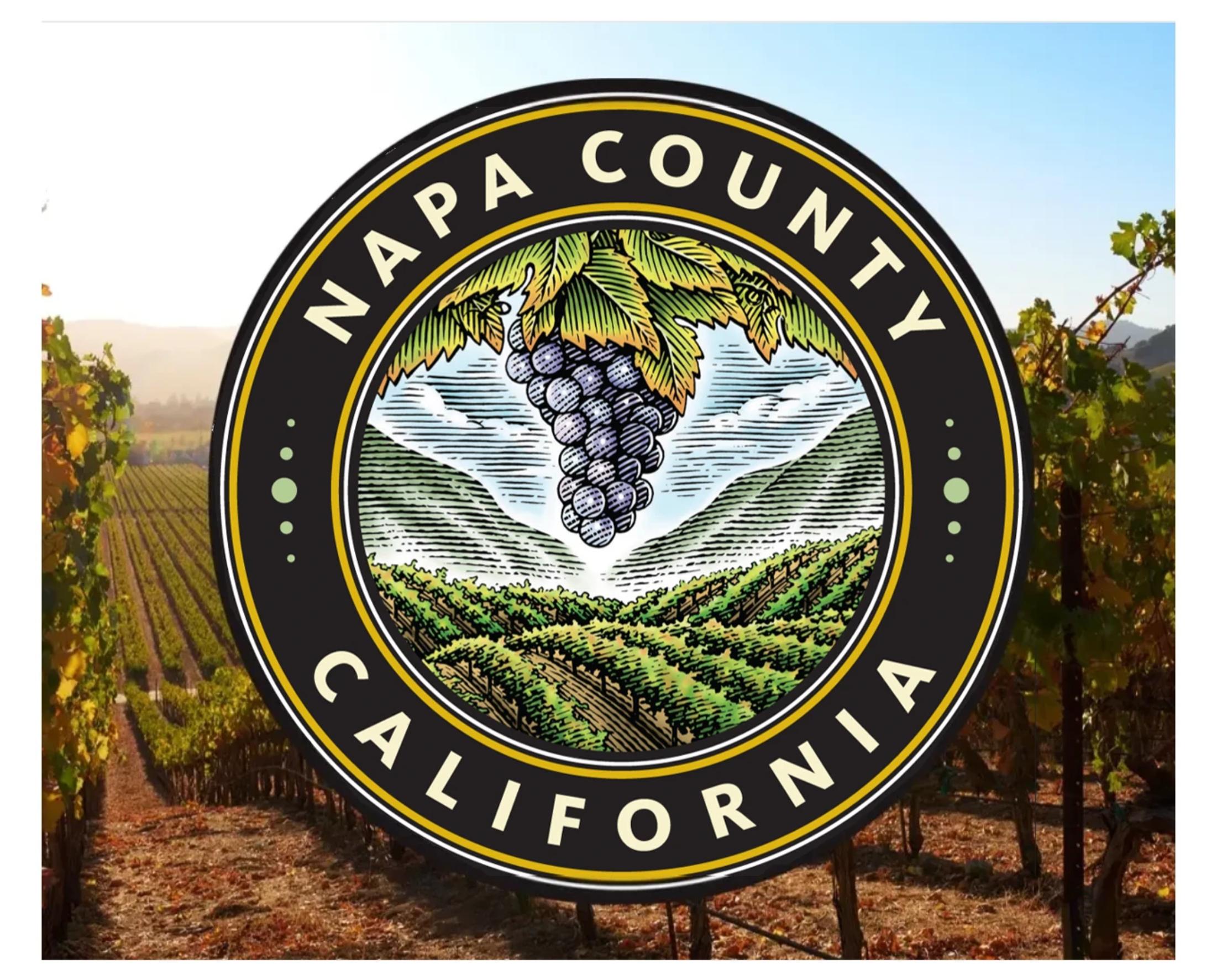 Napa County Official Seal rendered by Steven Noble artwork branding design engraving etching icon illustration line art logo scratchboard seal steven noble visual identity