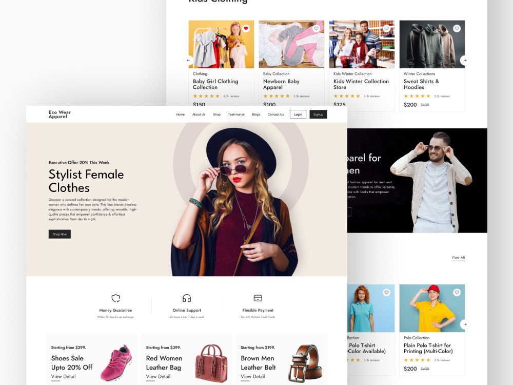 Example of Custom& Professional Website UI Design