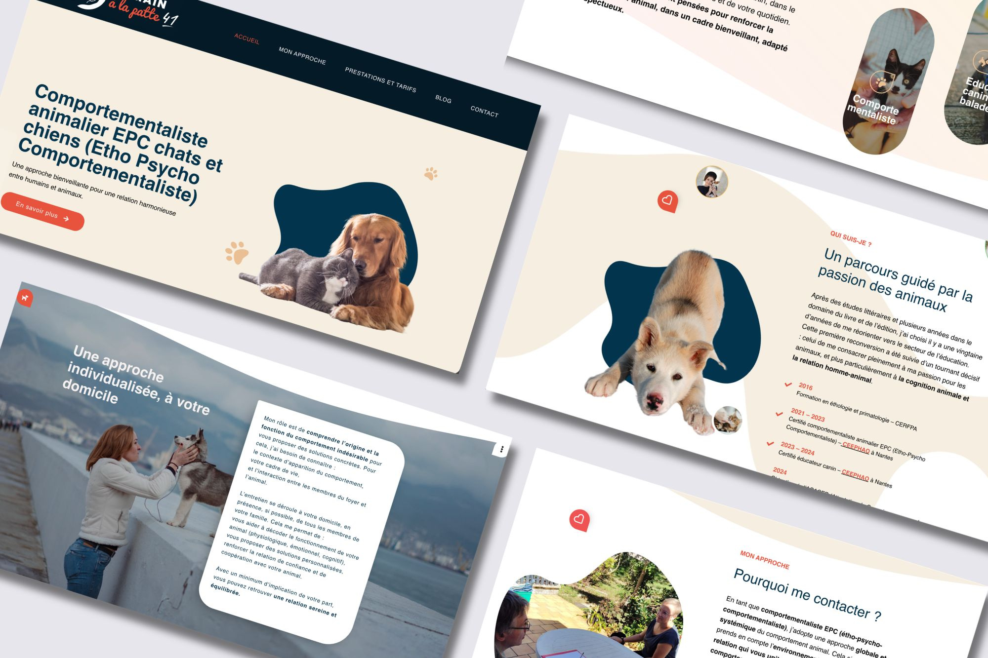 Pet Training Website Design – La Main à la Patte animal behavior branding cat clean design dog elementor lifestyle local business pet pet training responsive design service small business soft design ui design ux design web design website design wordpress