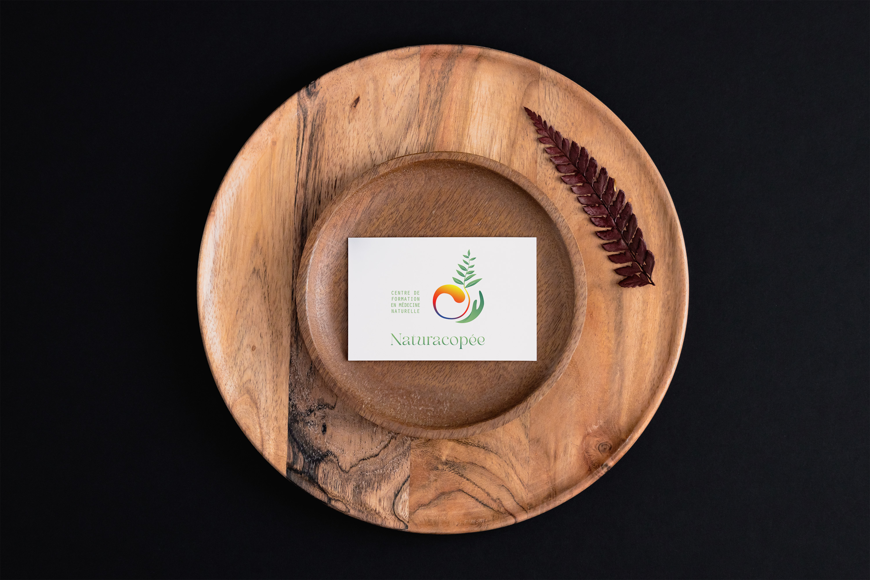 Wellness Branding – Naturacopée (Naturopathy School) beauty brand identity branding branding design design education elegant gradient health holistic logo minimal natural naturopathy organic spa training typography wellbeing wellness