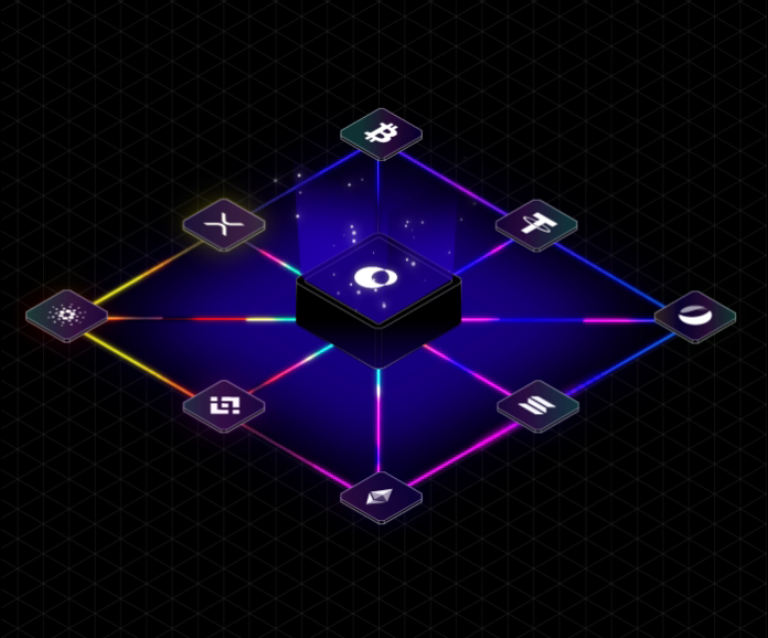 Reality Net Loop
