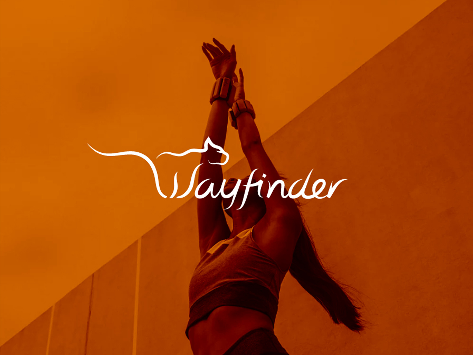 Wayfinder Logo, Minimal Cat Branding brandidentity branding design catlogo fitnessbranding graphicdesign lifestylebrand logo design logodesigner logoinspiration minimalist logo