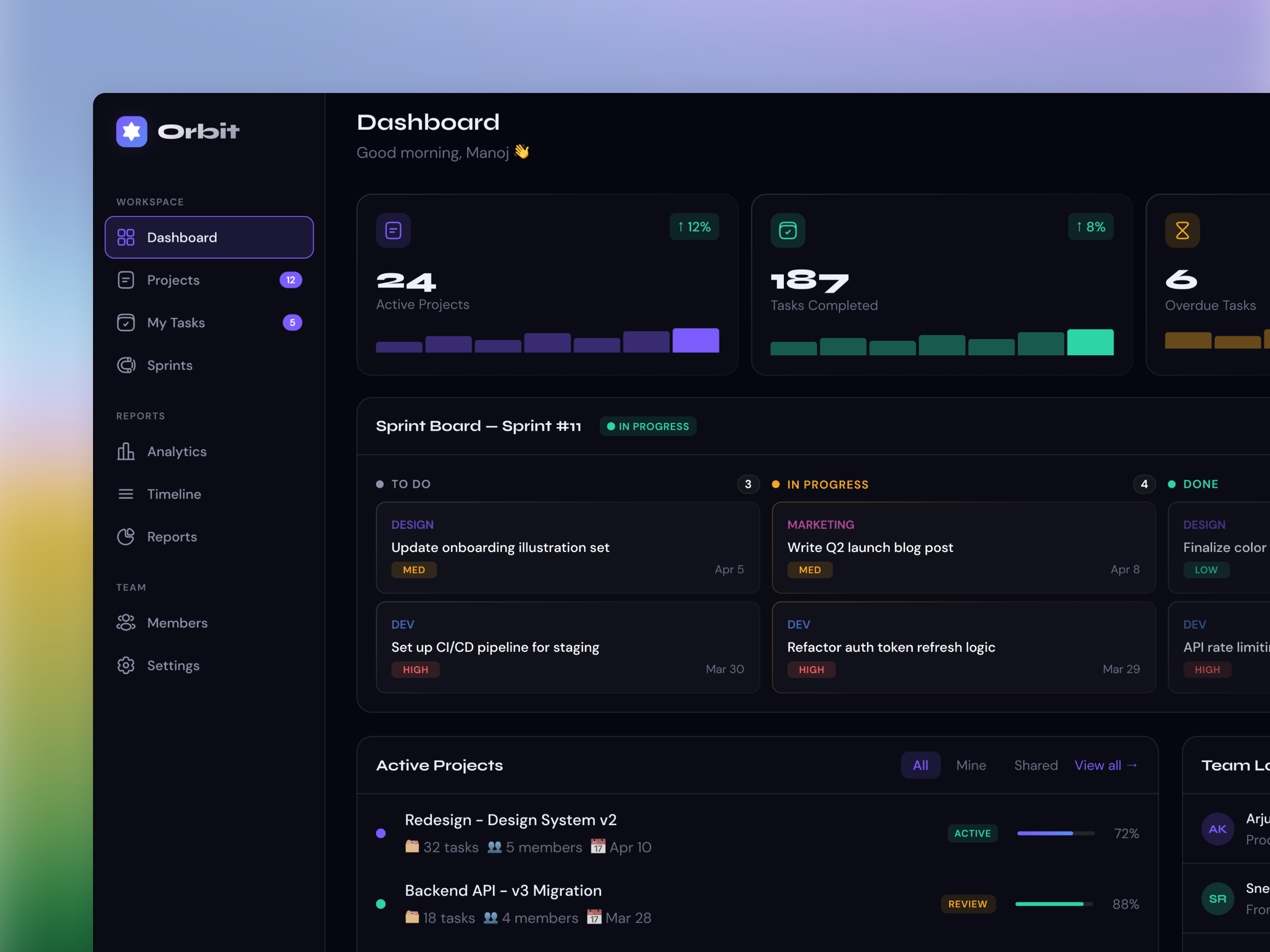 Example of Orbit Project Management